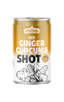 BIO Ingwer Kurkuma Shot