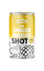 BIO Ingwer Mango Shot