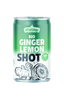 BIO Ingwer Shot